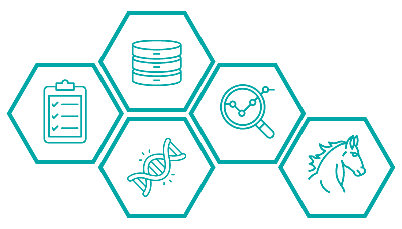 Des études statistiques originales pour se faire une nouvelle vision de l'élevage